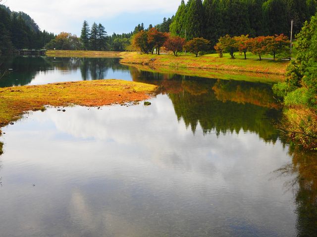 ���ꂢ�ɐ���_���P�x�����x�{�n