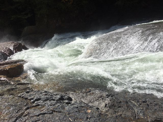 ���������猩�������ȁE�E_����̑�