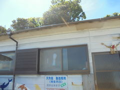 ��������̊��S�V�����������ւ̓��e�ʐ^1