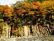 ��܂��񂳂�̏���k�J�̓��e�ʐ^2