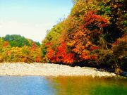 ��܂��񂳂�̏���k�J�̓��e�ʐ^3