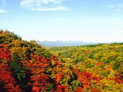 ��܂��񂳂�̏���k�J�̓��e�ʐ^4