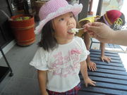 ̌ܖ؉{܁@F{X̓eʐ^1