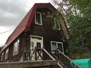 ̎Dy΂񂯂̃Ci[̓eʐ^4