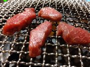 bq񂳂̂́[ ̓X̓eʐ^2