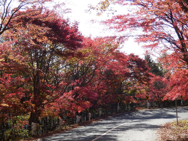 �������ԃ��C���ł��B_�������݂����C��