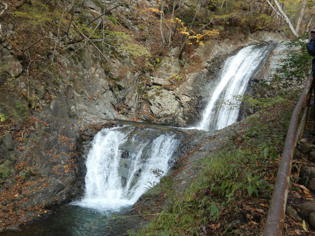 ���}���낵�̑�@�L�b�G�g���������ɔn����~��Ē�������̂悤�ł��B_�������݂����C��