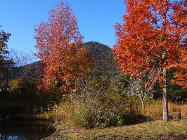 �L�ꂩ��_�_�ˎO�c�A�E�g�h�A�r���b�WTEMIL