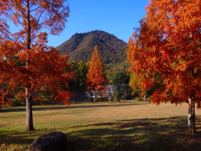 ���^�Z�R�C�A�ƉH���R_�_�ˎO�c�A�E�g�h�A�r���b�WTEMIL