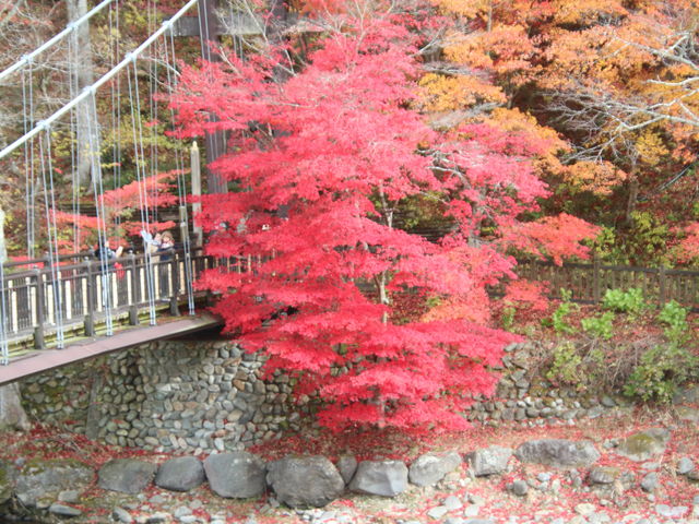 �g�t�́u�g�̒݋��v_�������̌���