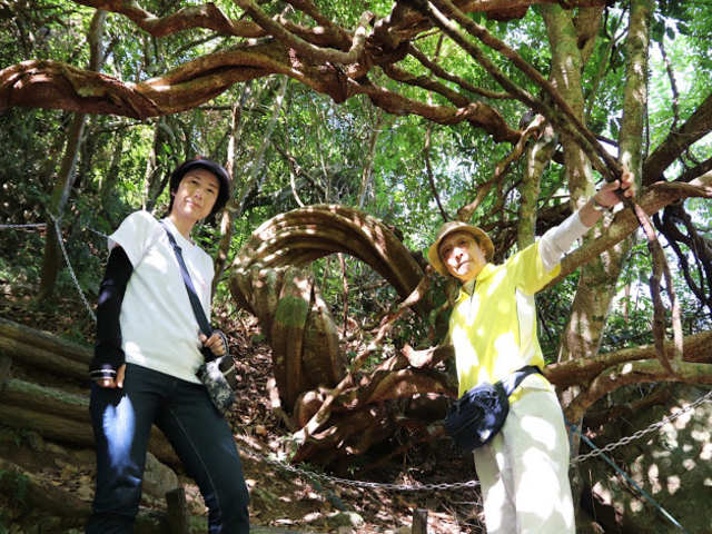 ����ȃ��_�}�̍�������_�}���O���[�u�J�k�[�c�[�����O