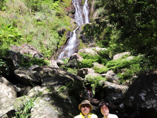 �t�i���M���̑�A�߂��Ō��邱�Ƃ��ł��邹�����A�������傫�������Ĕ�����_�}���O���[�u�J�k�[�c�[�����O