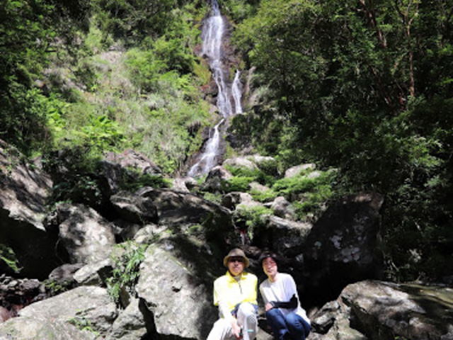 �t�i���M���̑�A�߂��Ō��邱�Ƃ��ł��邹�����A�������傫�������Ĕ�����_�}���O���[�u�J�k�[�c�[�����O