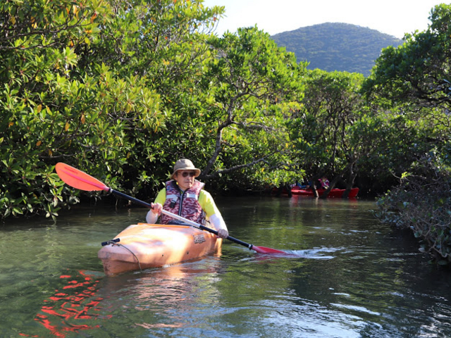 �J�k�[�ł̎U��ɂ͍œK�Ȑ��[�Ɛ���_�}���O���[�u�J�k�[�c�[�����O