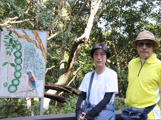 ���_�}�����n�A���N�̑䕗�̉e���őS�����_�}���o���Ă��Ȃ�����_�}���O���[�u�J�k�[�c�[�����O