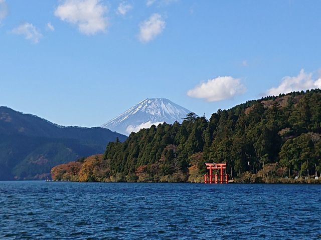 �i�F�S_�����C���D