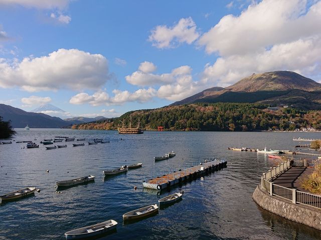 �i�F�T_�����C���D