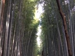 񂳂̒|т̓ւ̓eʐ^1