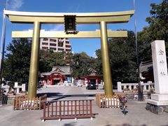 �j�C�`��������̋��_�Ђւ̓��e�ʐ^1