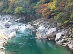 こぼらさんの飛騨川の投稿写真1
