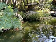 ߂̂̏cwفEHwق̓eʐ^6