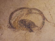 kiyohiko85jp̓ޗǕ򒹎ق̓eʐ^3