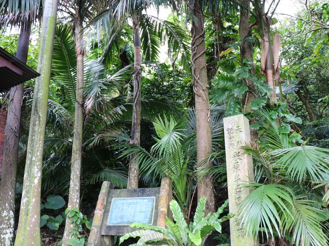 �Č��̃��G���}���V�Q��_�Č��̃��G���}���V�Q��