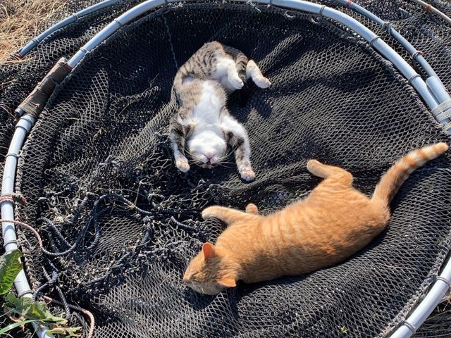 �S����_����