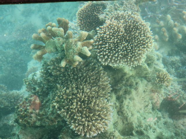 �X��_�܂��͂������邭��