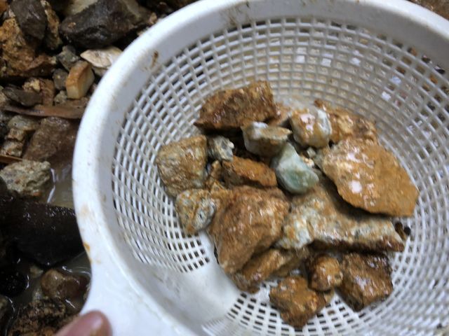 @o΂AŃUuUuāAu΂܂I_Rό