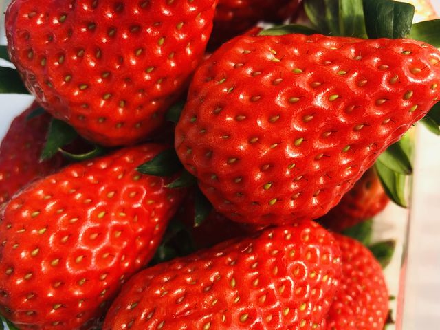 ���n�������B�������������ł��B_���c�_��