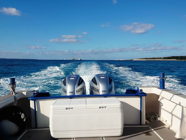 {[g͍LX
ptőł_Marine Shop rW