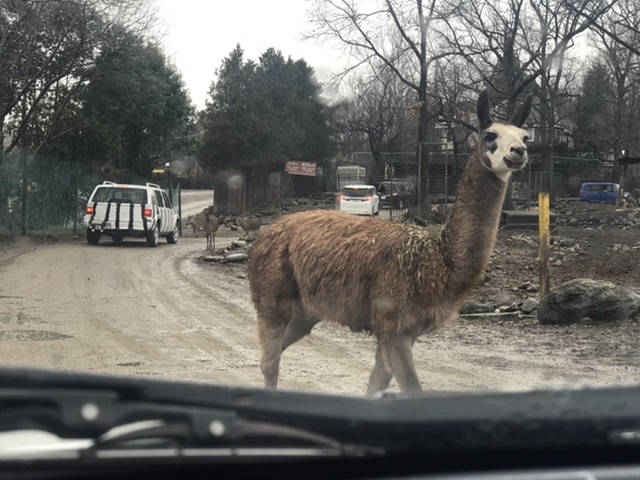 ���}�H_�ߐ{�T�t�@���p�[�N