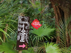 ユウ102さんの亜熱帯植物楽園由布島の投稿写真4