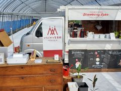 Holly̓V̂ʐ^ ܂邩ւ̓eʐ^1