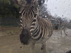 RAN����̓ߐ{�T�t�@���p�[�N�ւ̓��e�ʐ^1