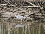 ���E102����̒��Ԑ�̓��e�ʐ^1