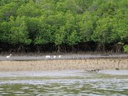 ���E102����̒��Ԑ�̓��e�ʐ^2