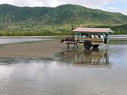 ���E102����̗R�z���̓��e�ʐ^1