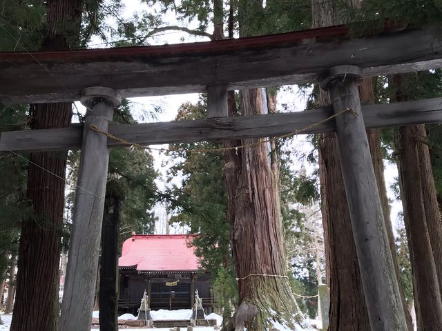 kPĂ郉C_[̓V_Ђ̑吙̓eʐ^1