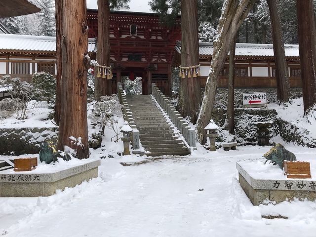 kPĂ郉C_[̋R̓eʐ^1