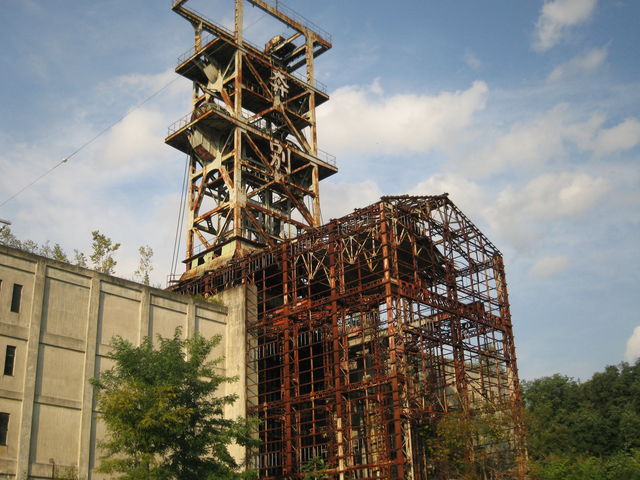 �G�B�E_���z�ʒY�z���B�E