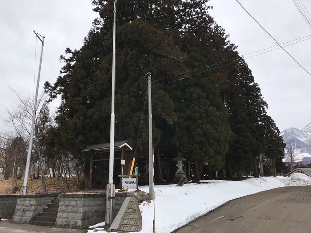 �����̉��ɎԂ��~�߂Č��܂����B_�V�_�Ђ̑吙