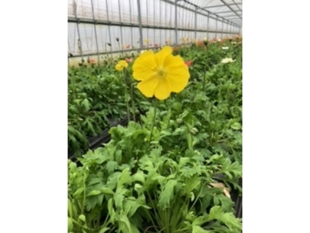 �|�s�[_��R�ό���������