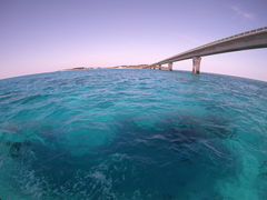 伊良部島観光ガイド ゆうむつ アクセス 営業時間 料金情報 じゃらんnet