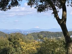 youchanp̖LcgLOقւ̓eʐ^1