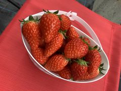 �����͂���̂Ƃ悳��t�@�[�����������ւ̓��e�ʐ^1