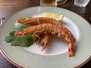 肳̃Xe[L&Xg@p|C̓eʐ^2