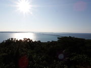 Toy����̖q�R�W�]��̓��e�ʐ^1