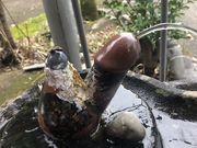 ������������������̎ė��P�_�Ђ̓��e�ʐ^1